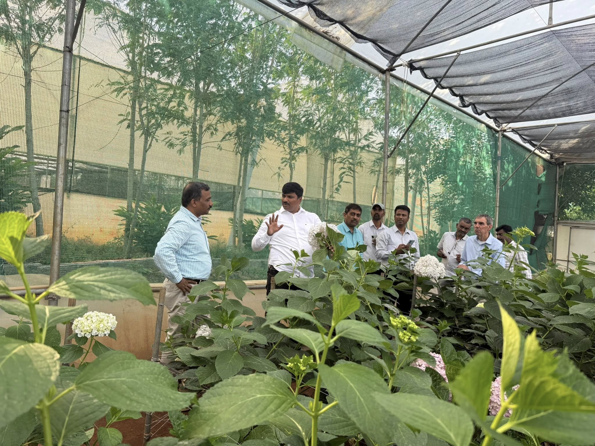 Drip irrigation system installed in Srikanth’s flower beds
