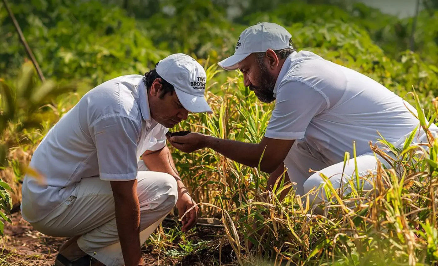 Satyajit & ajinkya hange Organinc farming
