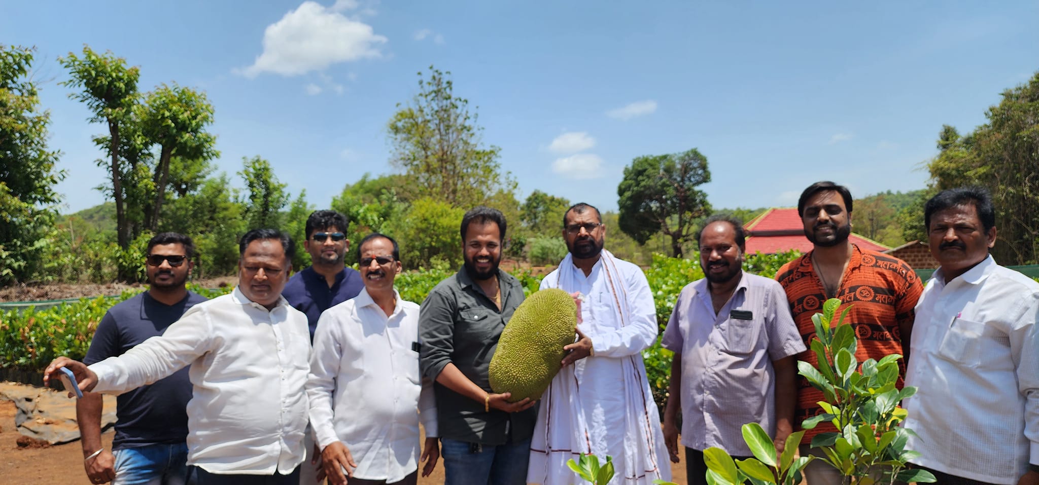 Jackfruit trees on Mithilesh Desai's eco-friendly farm