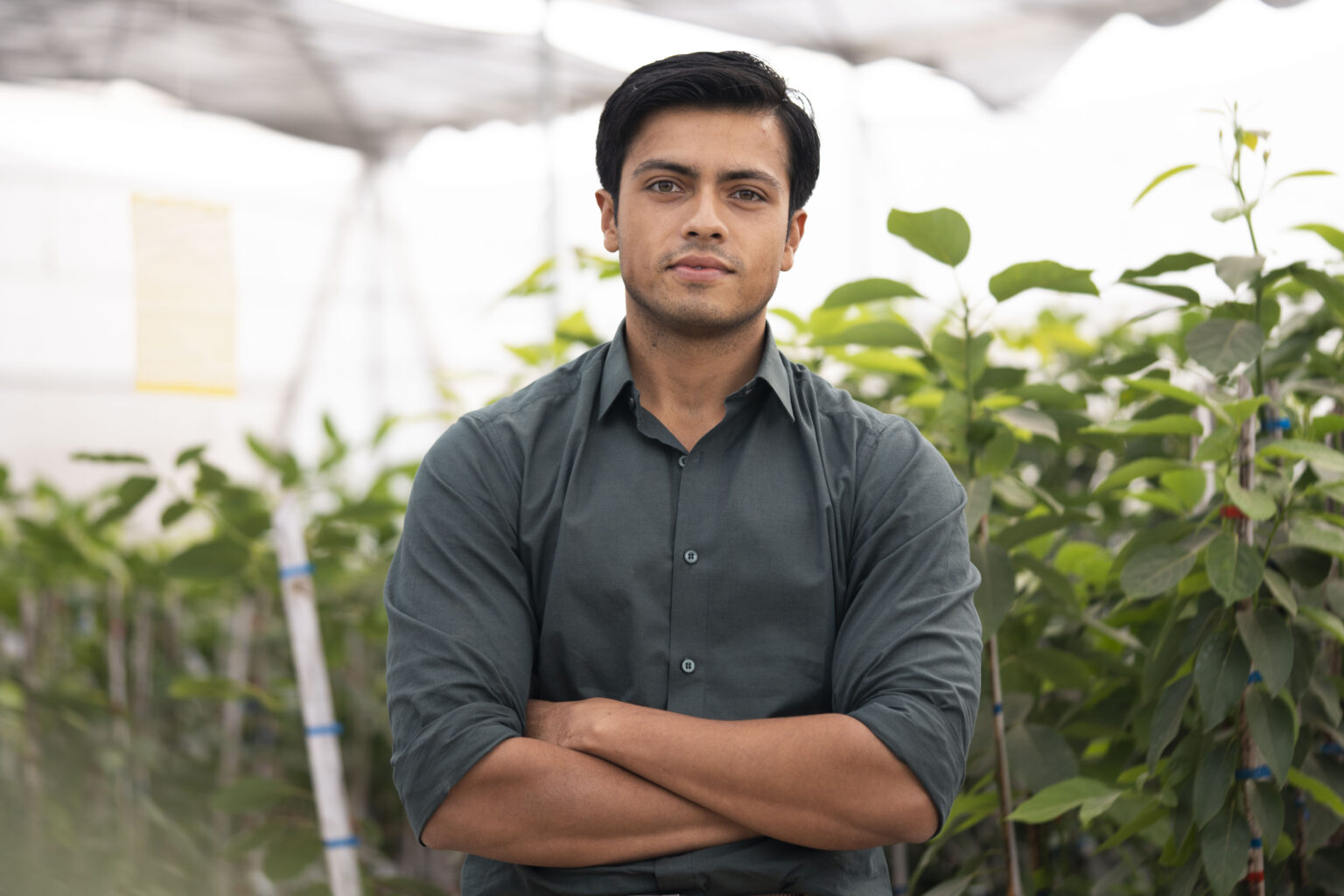 Harshit Godha holding fresh avocados grown in urban setting