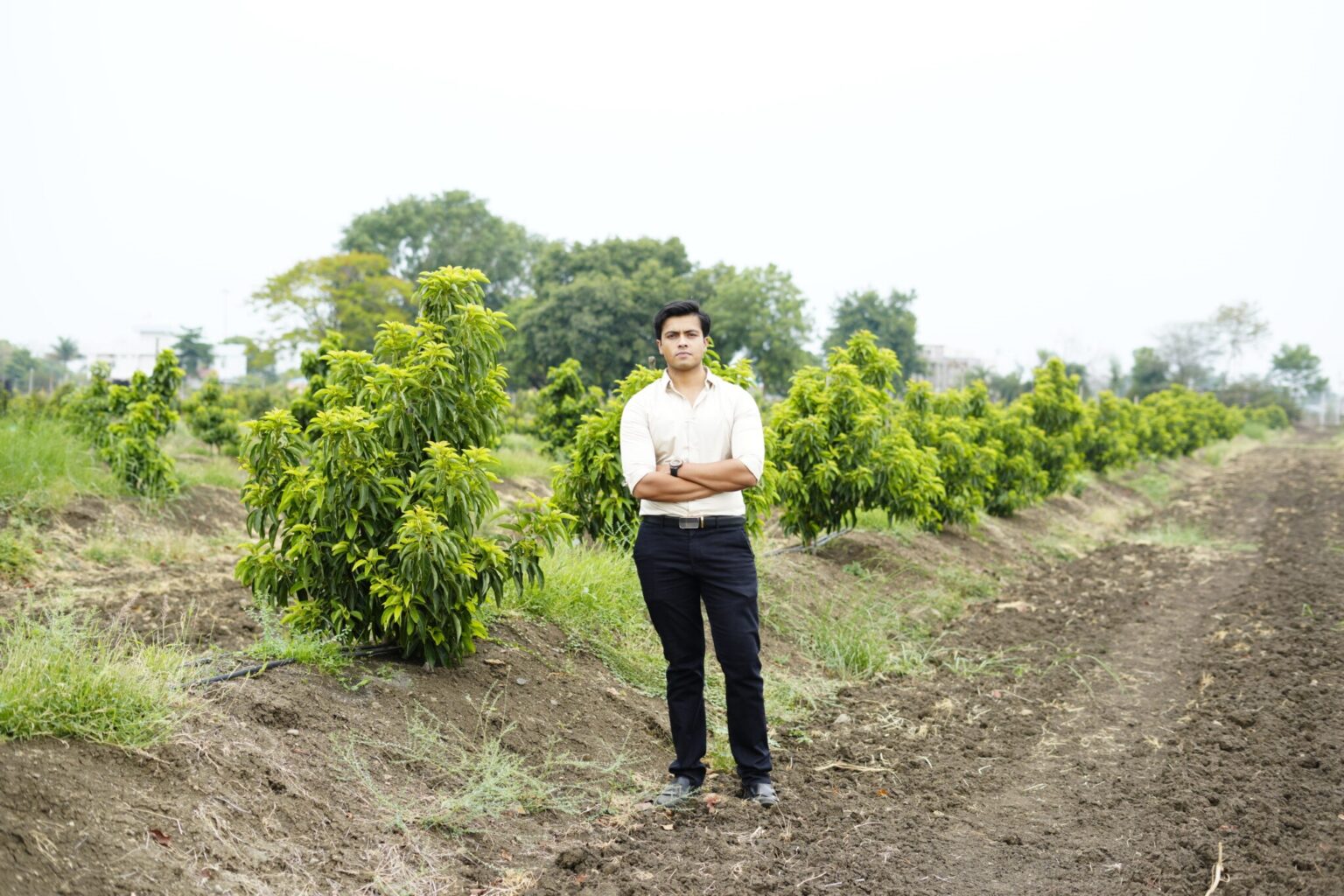 Harshit’s avocado setup using hydroponic and water-efficient methods