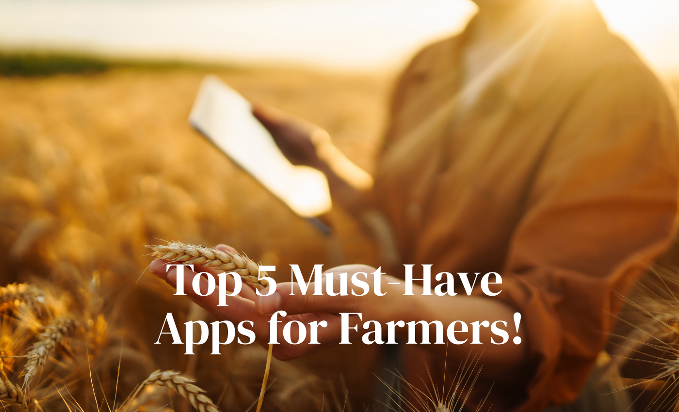 Farmer using smartphone to manage finances with agriculture apps