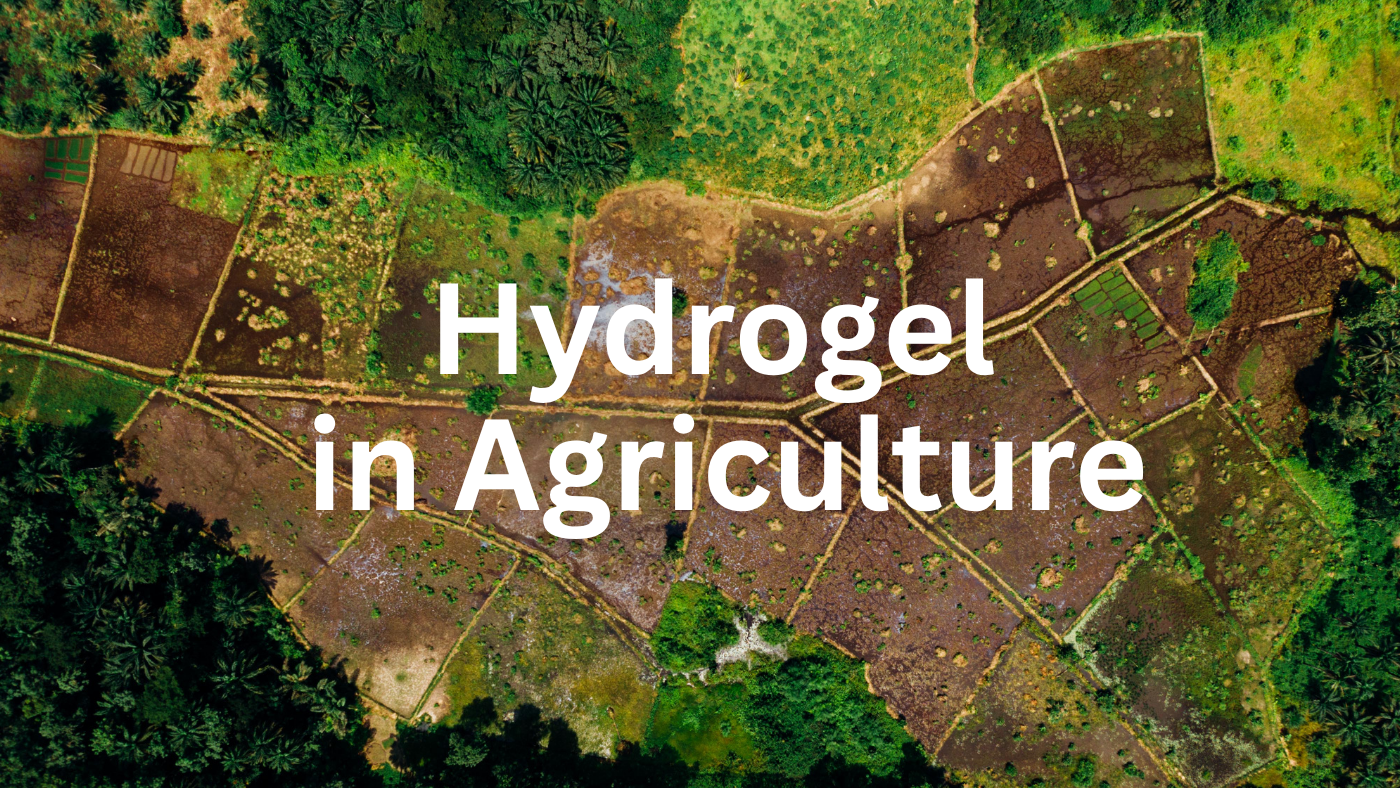 Hydrogel in Agriculture