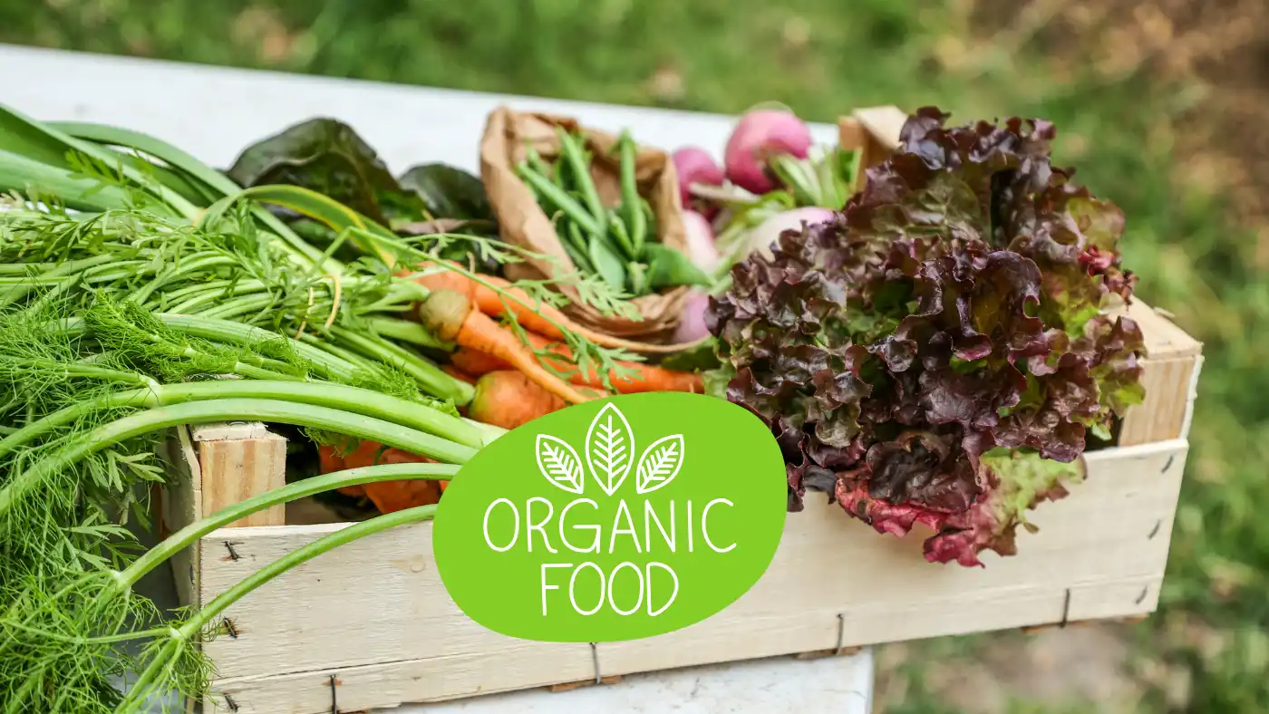 Indian farmer practicing organic farming using natural compost and bio-pesticides