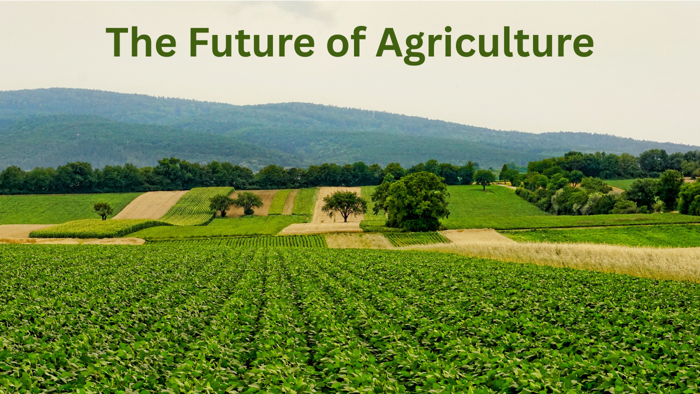 What is Regenerative Agriculture? A Beginner's Guide for Indian Farmers (2025)