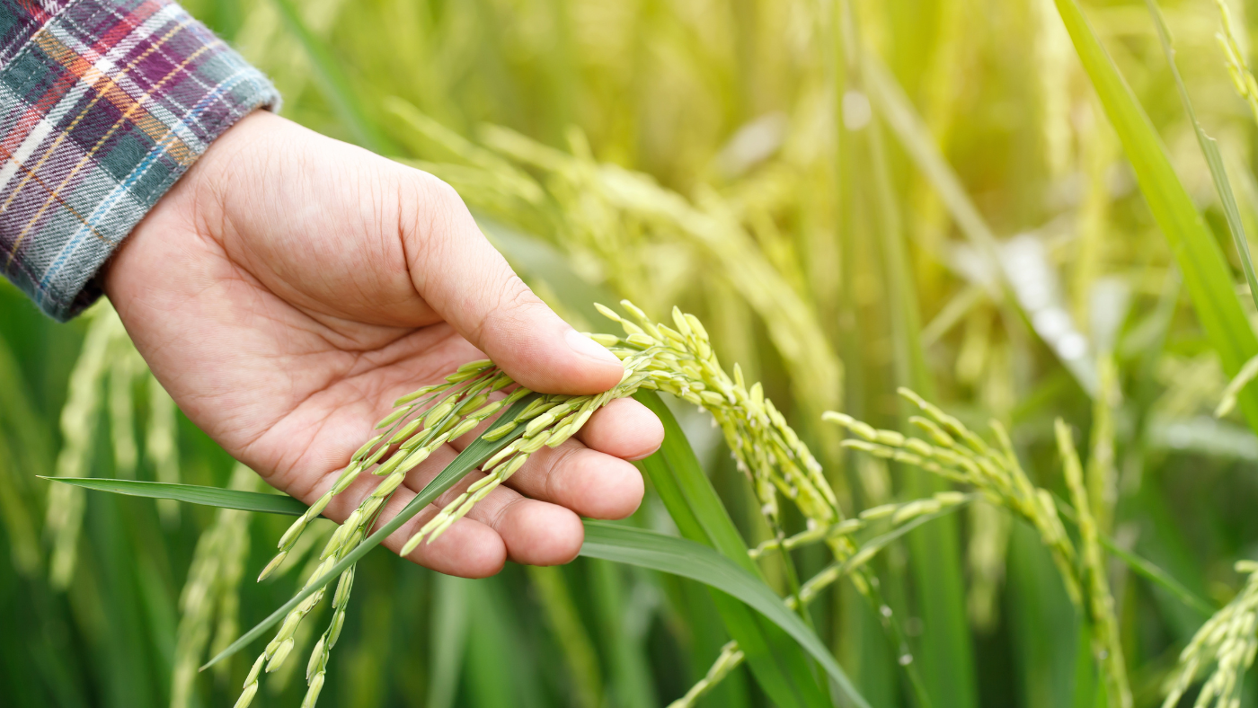 Start Regenerative Farming (2025 Guide)